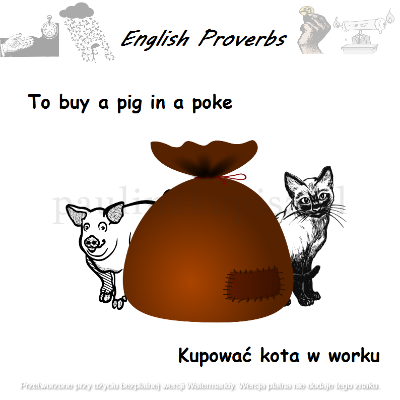 Zdjęcie 8